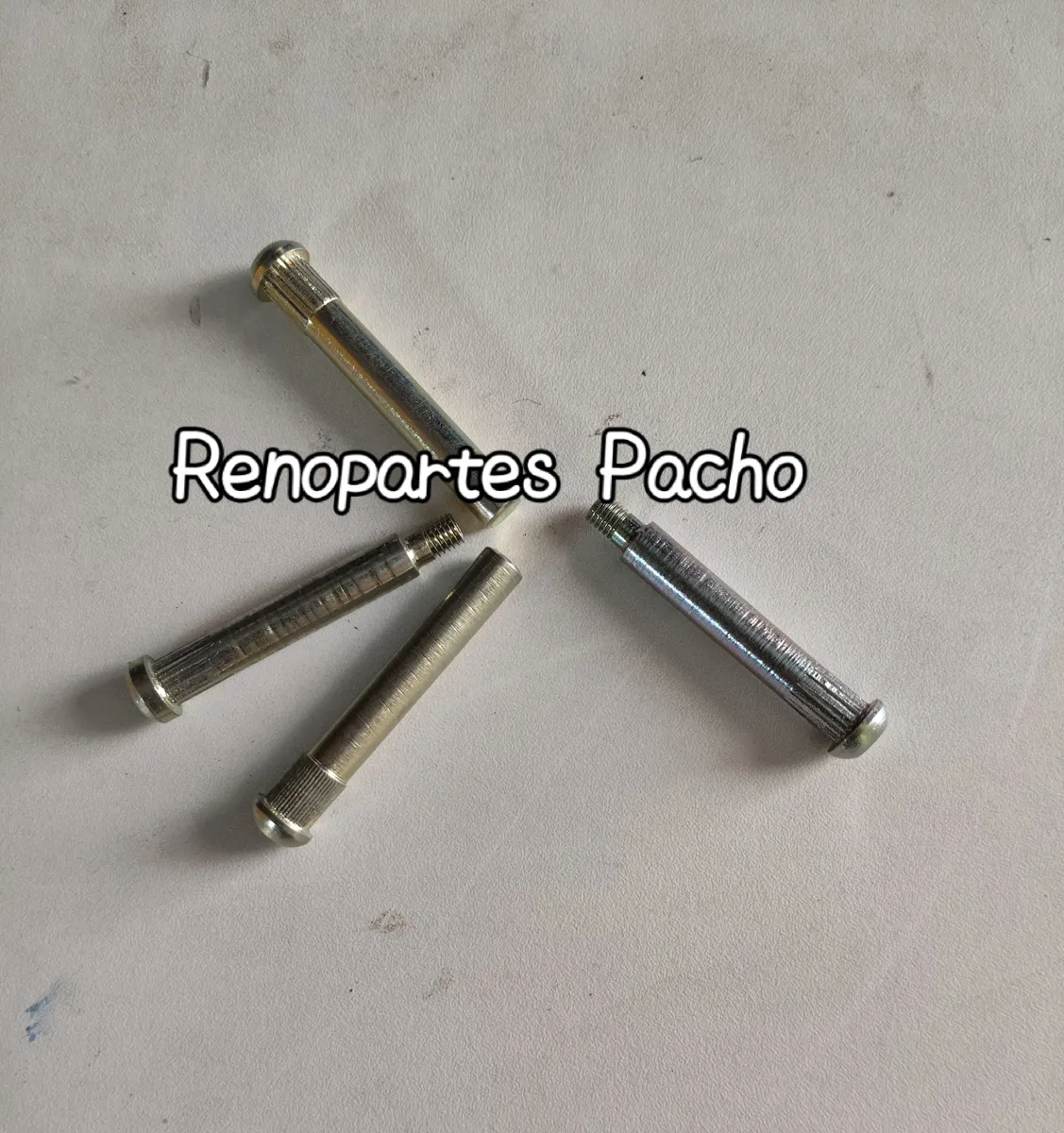 Pasadores bisagra baúl R4