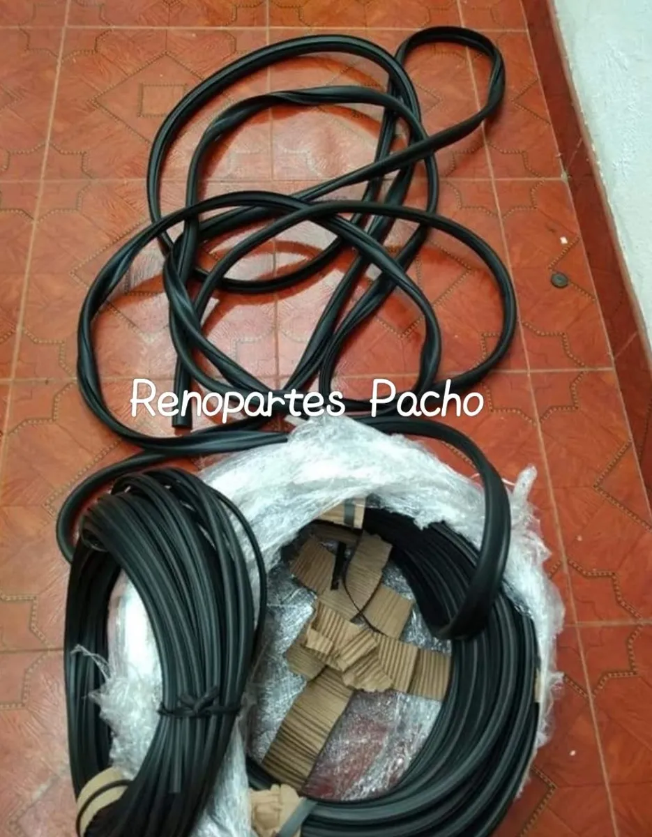 Cauchos panoramico trasero R4