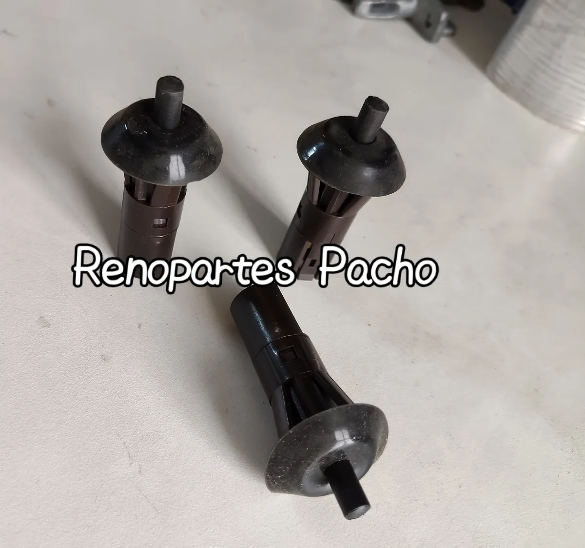 Puntilla Baúl R 19 